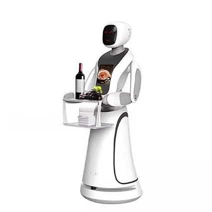 Get Your AI Service Robot Today