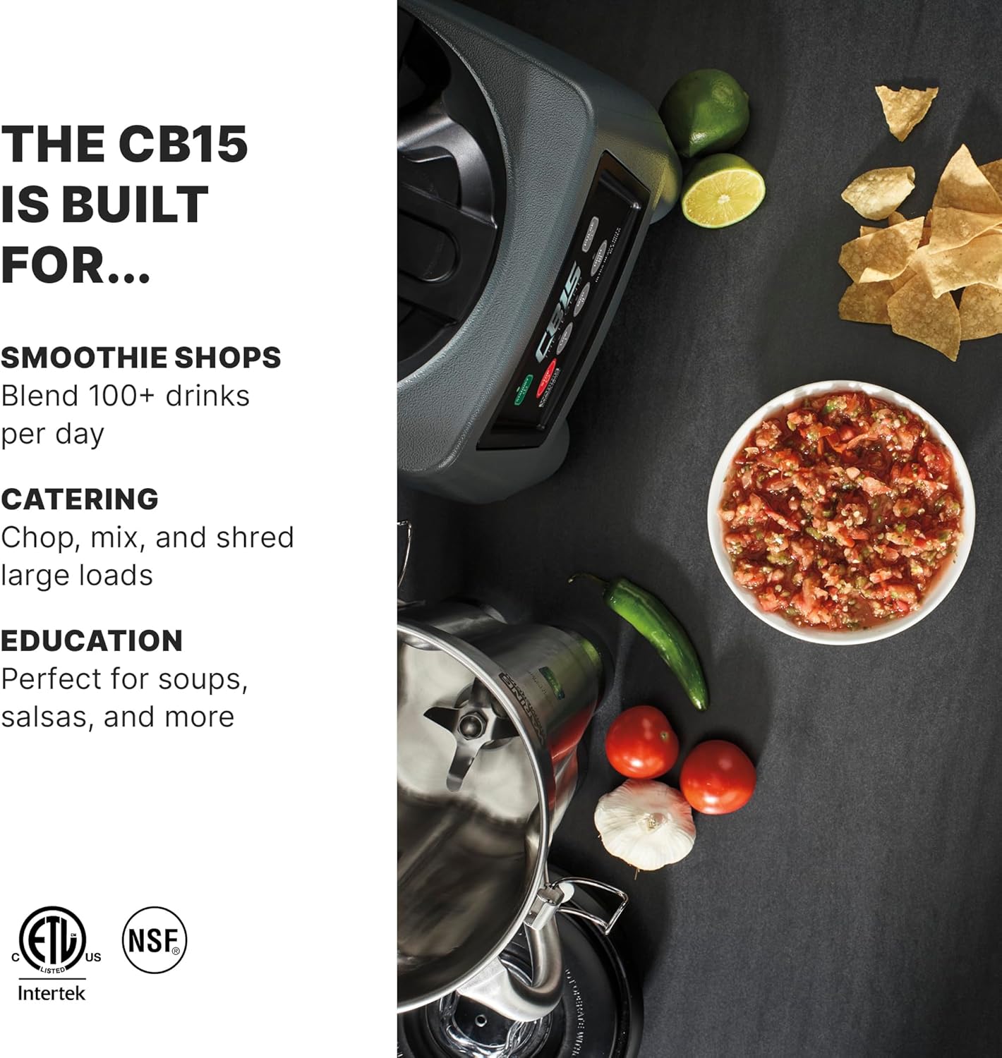 Best Commercial Blender 2025 with 3.75 HP Motor